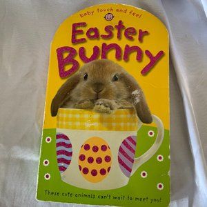 Easter Bunny Children's Book